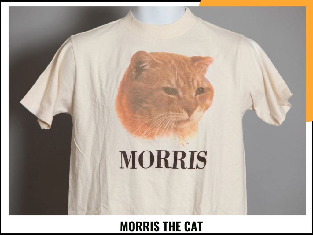 MORRIS THE CAT